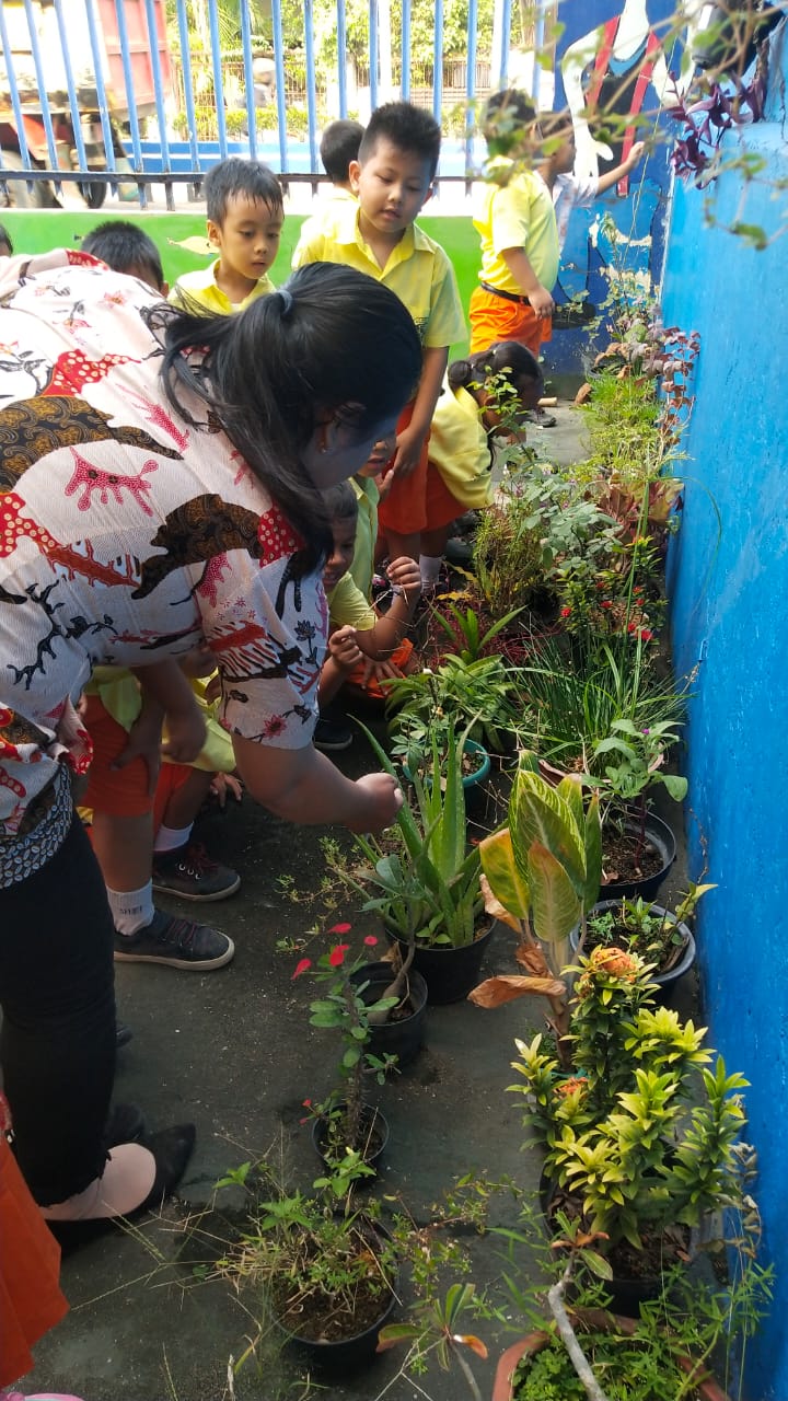 Mempelajari Merawat Tanaman